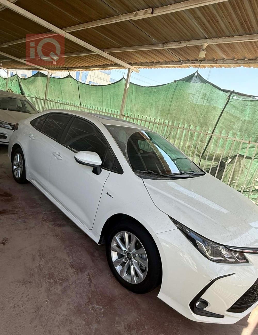 تويوتا للبيع في العراق